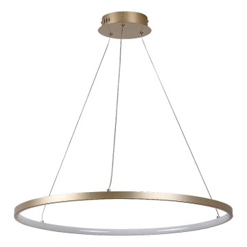 Rabalux - Κρεμαστό LED φωτιστικό με καλώδιο LED/55W/230V 3000K