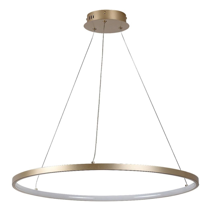 Rabalux - Κρεμαστό LED φωτιστικό με καλώδιο LED/55W/230V 3000K