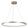 Rabalux - Κρεμαστό LED φωτιστικό με καλώδιο LED/55W/230V 3000K