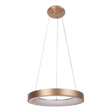 Rabalux -  Κρεμαστό φωτιστικό οροφής LED CARMELLA LED/50W/230V διάμετρος 60 cm