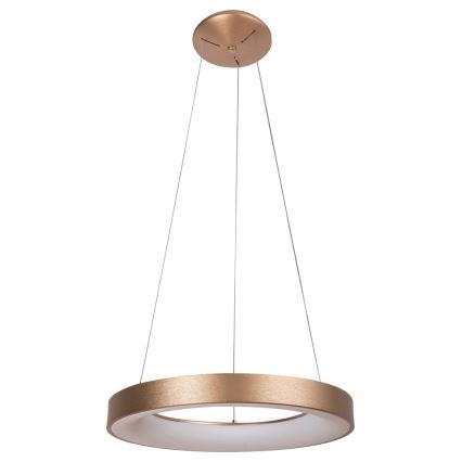 Rabalux - Πολύφωτο LED σε σχοινί CARMELLA LED/80W/230V