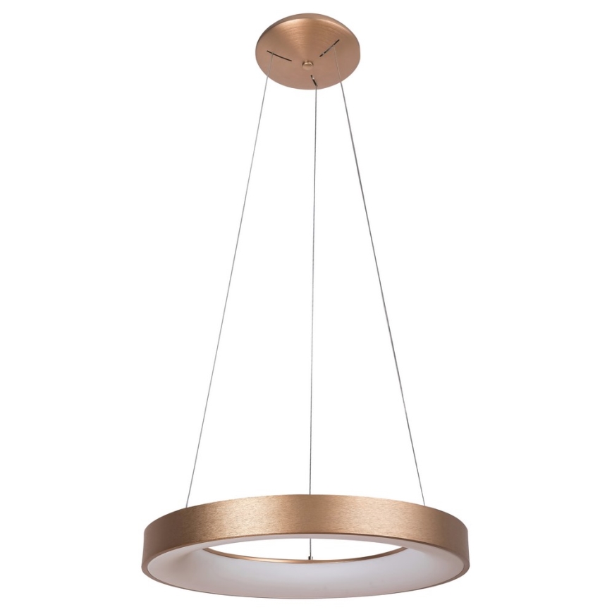 Rabalux - Πολύφωτο LED σε σχοινί CARMELLA LED/80W/230V
