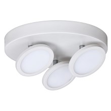 Rabalux - Φως οροφής LED 3xLED/6W/230V λευκό