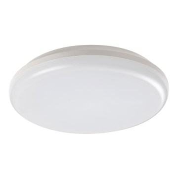 Rabalux - Φως οροφής εξωτερικού χώρου LED LED/24W/230V IP64