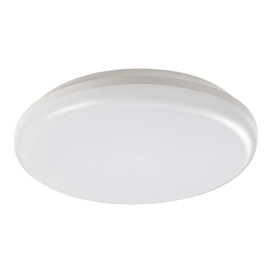 Rabalux - Φως οροφής εξωτερικού χώρου LED LED/24W/230V IP64