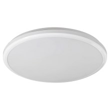 Rabalux - Φως οροφής μπάνιου LED LED/24W/230V IP65