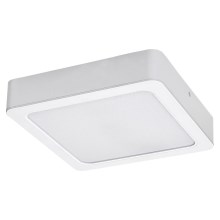Rabalux - Φωτιστικό οροφής LED LED/15W/230V 3000K 16x16 cm λευκό