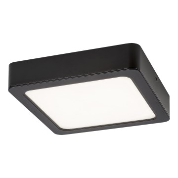 Rabalux - Φωτιστικό οροφής LED LED/15W/230V 4000K 16x16 cm μαύρο