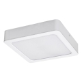 Rabalux - Φωτιστικό οροφής LED LED/24W/230V 3000K 22x22 cm λευκό