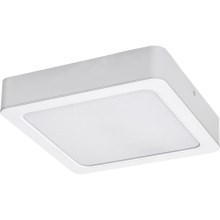 Rabalux - Φωτιστικό οροφής LED LED/24W/230V 3000K 22x22 cm λευκό