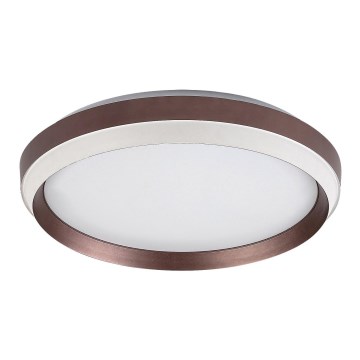 Rabalux - Φωτιστικό οροφής LED LED/24W/230V 3000K