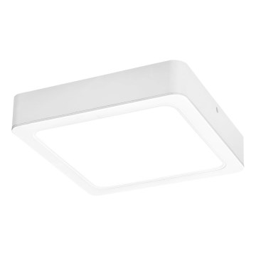 Rabalux - Φωτιστικό οροφής LED LED/24W/230V 4000K 22x22 cm λευκό