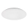 Rabalux - Φωτιστικό οροφής LED LED/24W/230V 4000K 38 cm