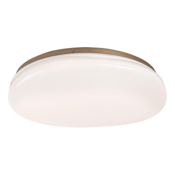 Rabalux - Φωτιστικό οροφής μπάνιου LED/24W/230V IP44 διάμ. 41 cm