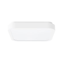 Rabalux - Φωτιστικό οροφής μπάνιου LED LED/18W/230V IP44 4000K 25x25 cm λευκό