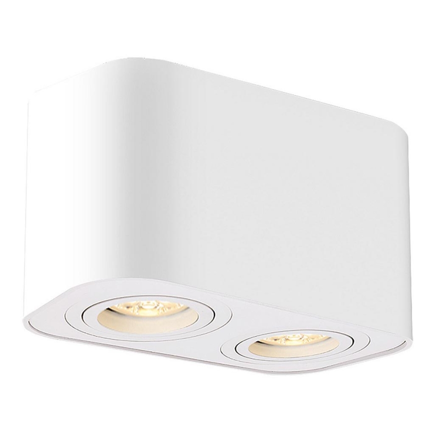 Rabalux - Φωτιστικό σποτ 2xGU10/42W/230V λευκό