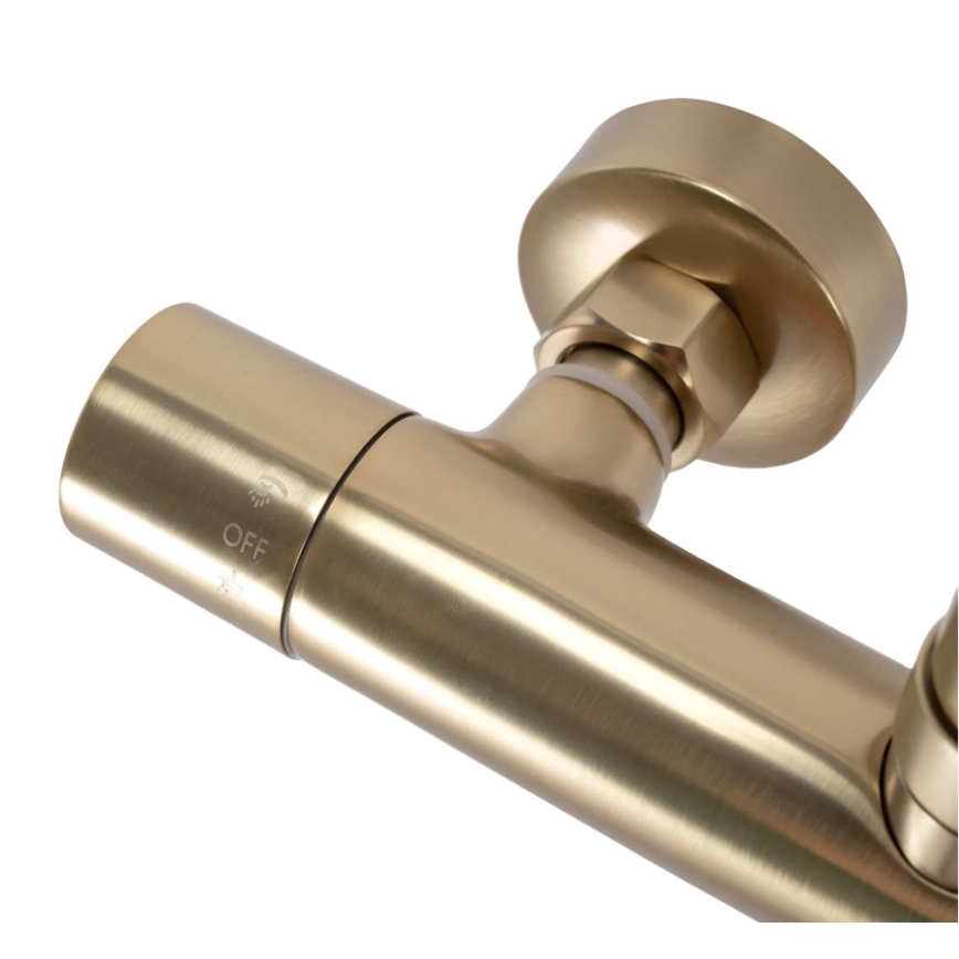 REA-P2323 - Σετ ντους PAROT με θερμοστατική μπαταρία, βουρτσισμένο χρυσό