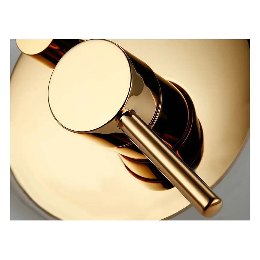 REA-P4110 - Σετ ντους με εντοιχιζόμενη μπαταρία LUNGO σε χρυσό