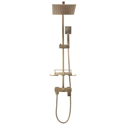 REA-P7050 - Σετ ντους με μπαταρία JACK, βούρτσιστο χρυσό