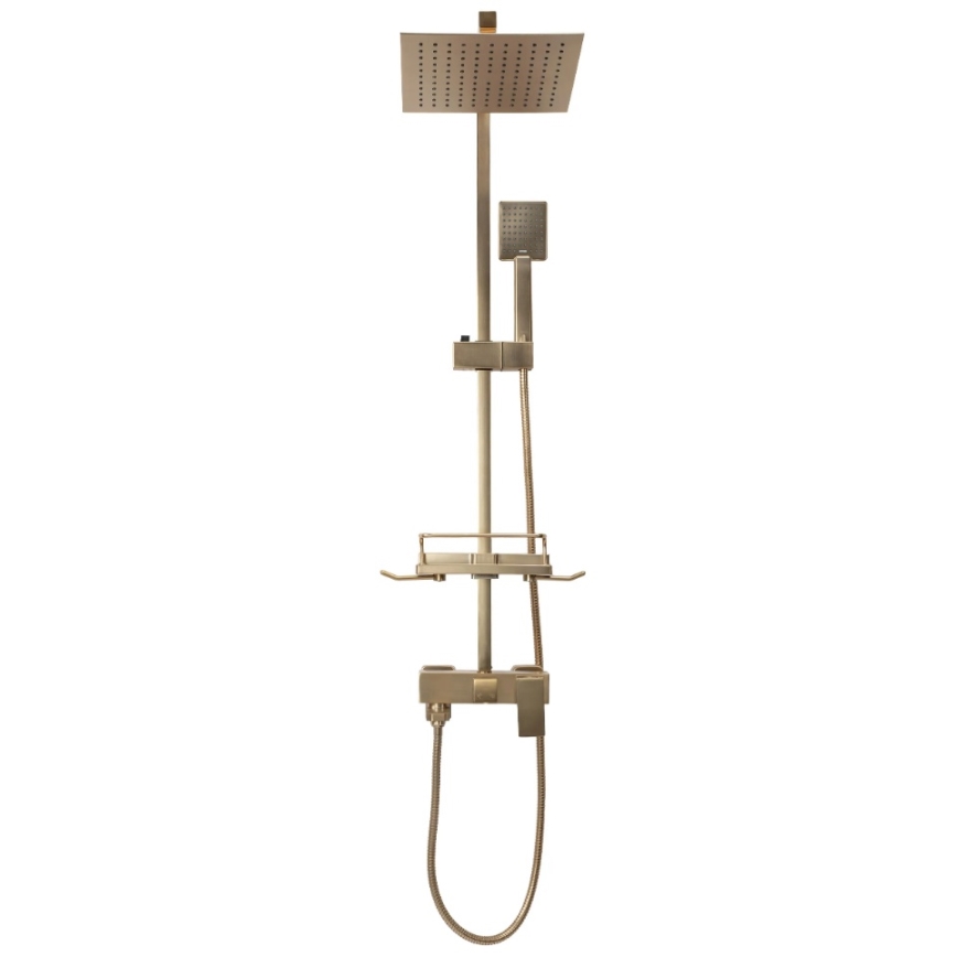 REA-P7050 - Σετ ντους με μπαταρία JACK, βούρτσιστο χρυσό