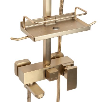 REA-P7050 - Σετ ντους με μπαταρία JACK, βούρτσιστο χρυσό