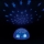 Reality - LED Προτζέκτορας αφής SIRIUS LED/0,5W/3xAA μπλε