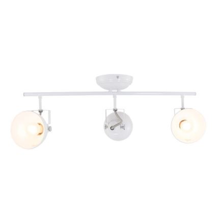 Reality - Σποτάκι GINA 3xE14/40W/230V λευκό