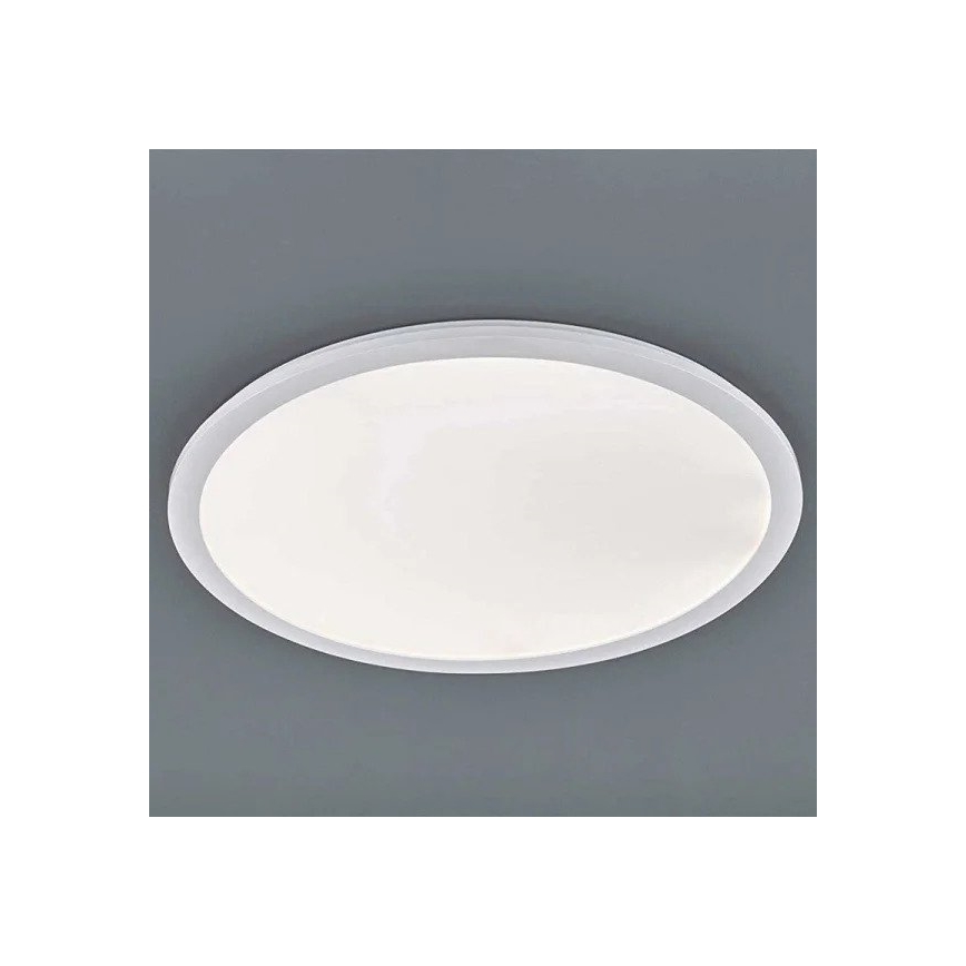 Reality - Φωτιστικό οροφής μπάνιου LED CAMILLUS LED/30W/230V IP44