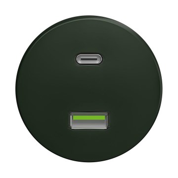 Reblig - Ρετρό USB πρίζα A+C χωρίς πλαίσιο, πράσινη