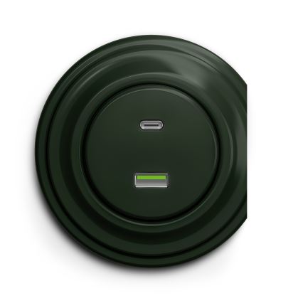 Reblig - Ρετρό USB πρίζα A+C χωρίς πλαίσιο, πράσινη