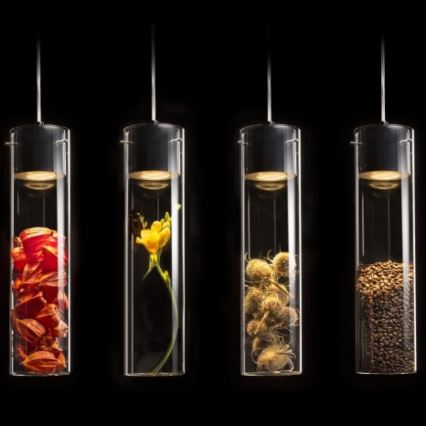 RED - Design Rendl - R11756 - Μονόφωτο φωτιστικό οροφής GARNISH 1xGU10/9W/230V