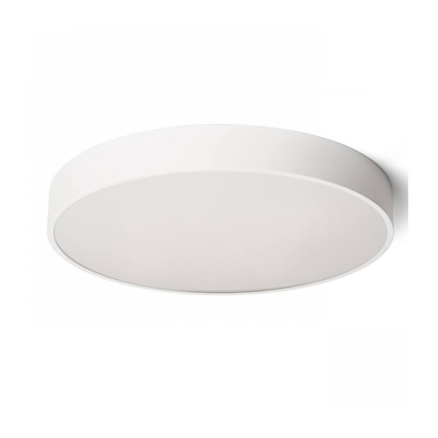 RED - Design Rendl - R13334 - LED Φωτιστικό οροφής MEZZO LED/100W/230V λευκό