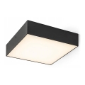 RED - Design Rendl - R13488 - Οροφιαίο φωτιστικό LED LARISA LED/20W/230V μαύρο