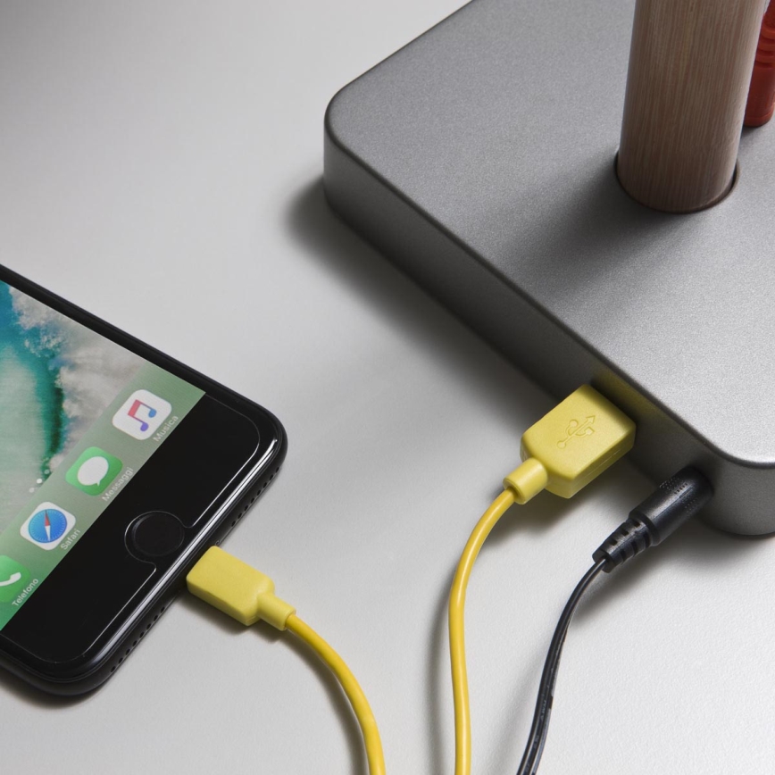 Redo 01-1119 - Επιτραπέζια λάμπα αφής dimming LED LED/5W/230V USB