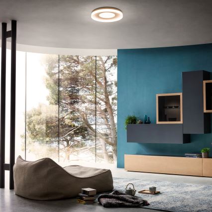 Redo 01-2004 - LED ρυθμιζόμενο φωτιστικό οροφής MAYA LED/75W/230V διάμ. 60 εκ. χρυσό