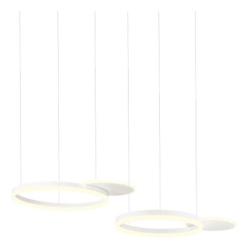 Redo 01-2605 - LED Ρυθμιζόμενο κρεμαστό φωτιστικό σε καλώδιο SIGUA LED/99W/230V CRI 90 λευκό