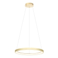 Redo 01-2673 - Led Dimmable κρεμαστό φωτιστικό οροφής ICONIC LED/50W/230V διάμετρος 58 cm χρυσαφί