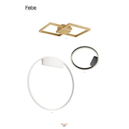Redo 01-2835 - Ρυθμιζόμενο επιτοίχιο φωτιστικό LED FEBE LED/24W/230V χρυσό