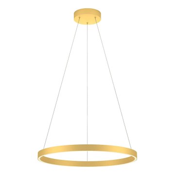 Redo 01-2865 - Led Dimmable κρεμαστό φωτιστικό οροφής FEBE LED/37W/230V χρυσαφί