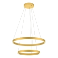 Redo 01-2889 - Led Dimmable κρεμαστό φωτιστικό οροφής FEBE LED/62W/230V χρυσαφί
