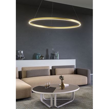 Redo 01-2889 - Ρυθμιζόμενο LED κρεμαστό φωτιστικό με καλώδιο FEBE LED/62W/230V χρυσό