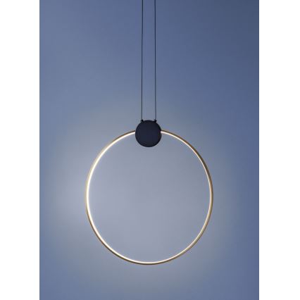 Redo 01-3106 - Πολύφωτο LED με συρματόσχοινο ATOM LED/11W/230V διάμετρος 40 cm