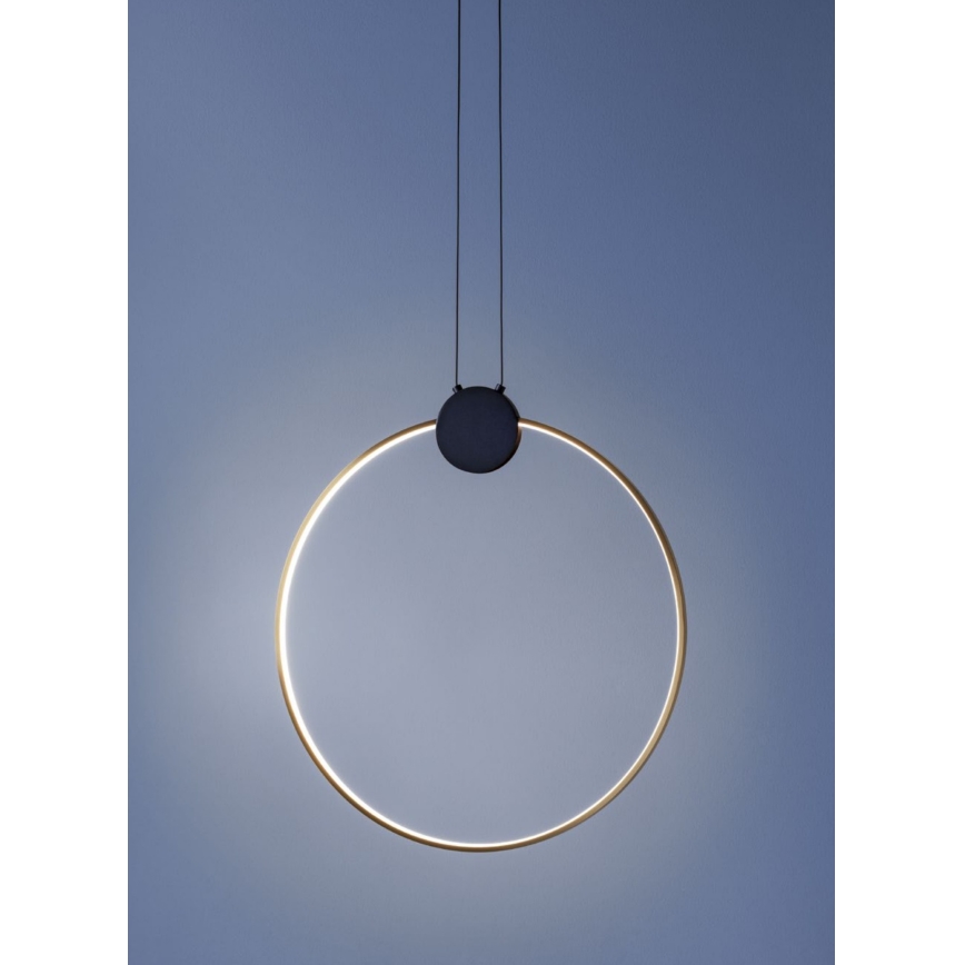 Redo 01-3106 - Πολύφωτο LED με συρματόσχοινο ATOM LED/11W/230V διάμετρος 40 cm
