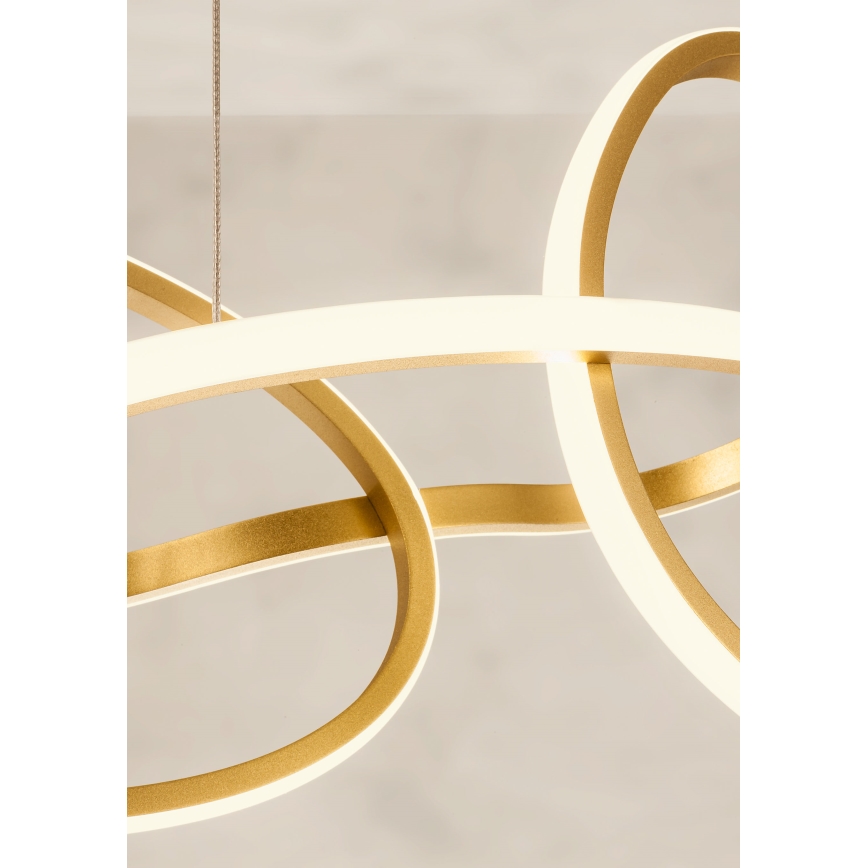 Redo 01-3392 - Ρυθμιζόμενο κρεμαστό φωτιστικό LED με καλώδιο BIAS LED/120W/230V 3000/4500/6500K CRI 90 χρυσό