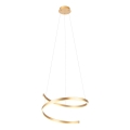 Redo 01-4014 - LED ρυθμιζόμενο κρεμαστό φωτιστικό με καλώδιο SCROLL LED/38W/230V 3000K/4000K/6000K CRI 90 διάμ. 60 cm σε χρυσό