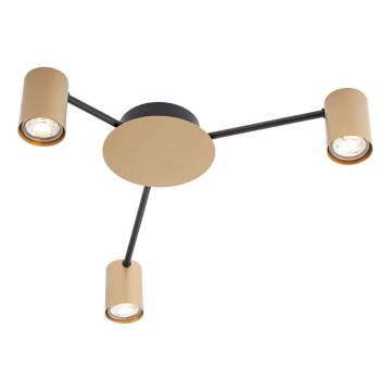 Redo 01-4049 - Φωτιστικό σποτ NOA 3xGU10/10W/230V χρυσό