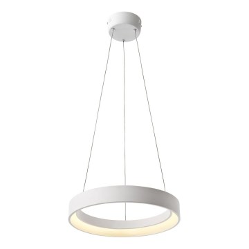 Redo 01-671 -  Κρεμαστό φωτιστικό οροφής LED LOOP LED/38W/230V διάμετρος 45 cm λευκό