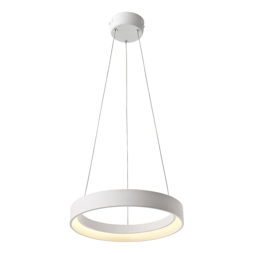 Redo 01-671 -  Κρεμαστό φωτιστικό οροφής LED LOOP LED/38W/230V διάμετρος 45 cm λευκό