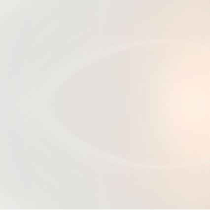 Redo 05-677 - Φωτιστικό οροφής VIRGINIA 1xE27/42W/230V διάμετρος 25 cm λευκό