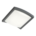 Redo 90007 - Φωτιστικό οροφής εξωτερικού χώρου LED TALLIN LED/21W/230V 24,5x24,5 cm IP54 ανθρακί